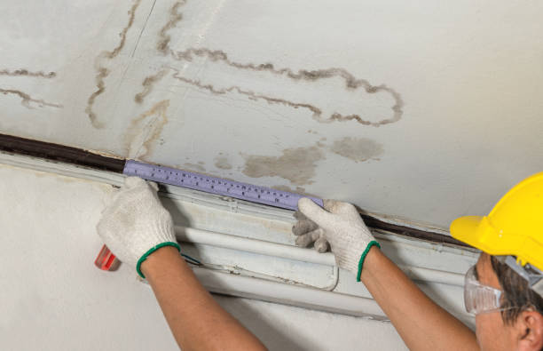 Reliable Basement Flood Cleanup contractor in Westville, SC by Aqua Guard Water Damage